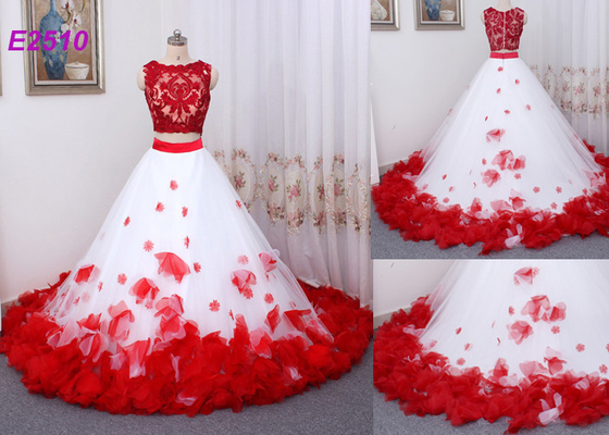 Le cru deux morceaux de boule de robe de bal d'étudiants d'Applique de robes fleurit la robe de soirée